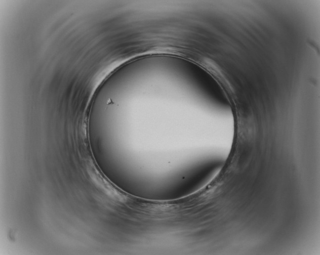 X0000102871292200808251232