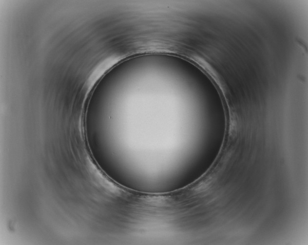 X0000102871293200808251232