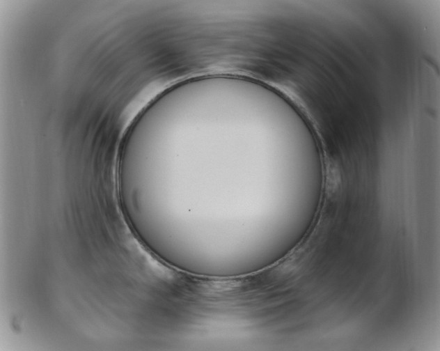 X0000102871294200808251232