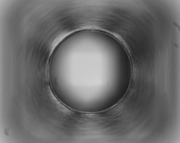 X0000102871295200808251232