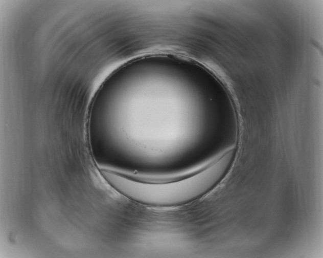 X0000102871296200808251232