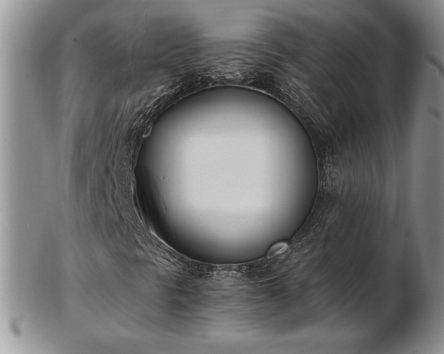 X0000102871297200808251232