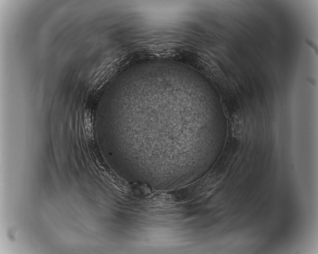 X0000102871298200808251232