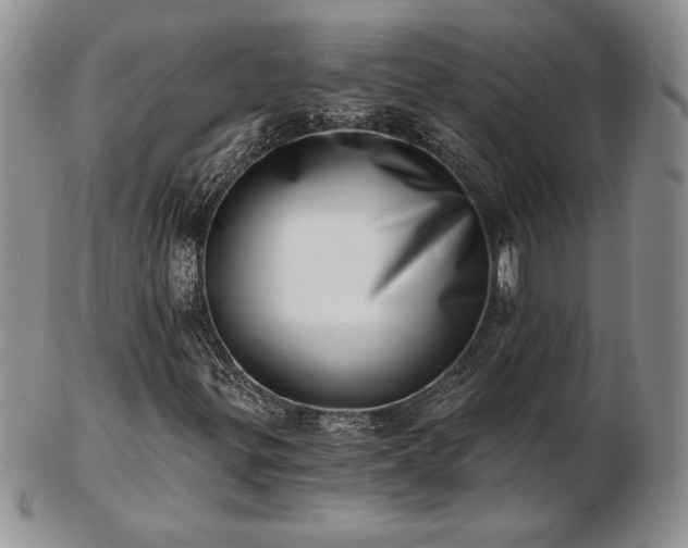 X0000102871299200808251232