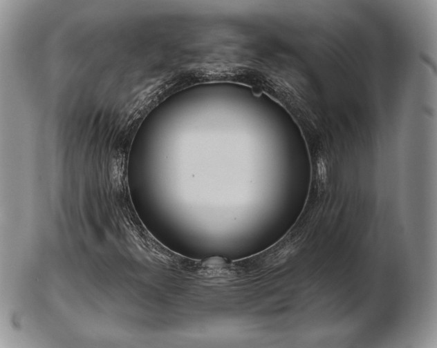 X0000102871300200808251232