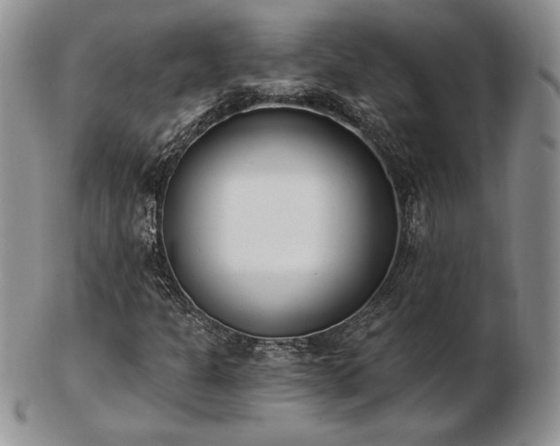 X0000102871301200808251232