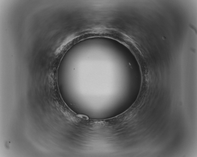 X0000102871304200808251232