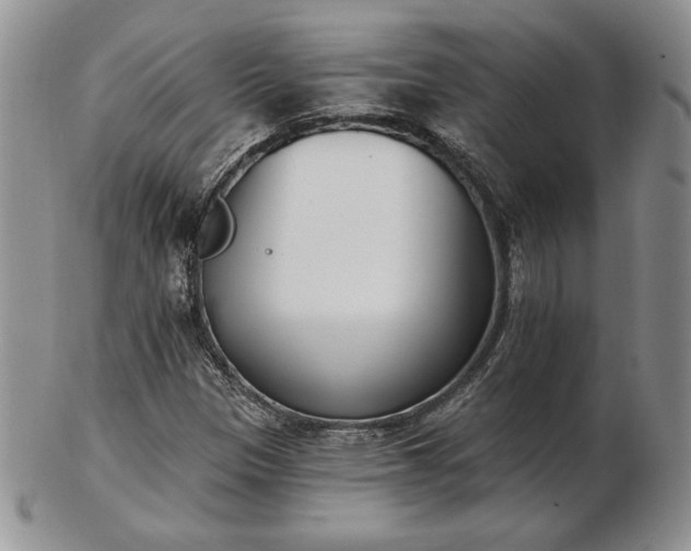 X0000102871305200808251232