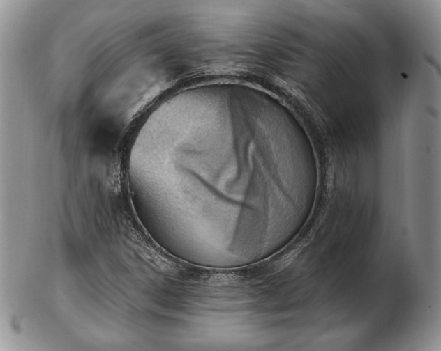 X0000102871306200808251232