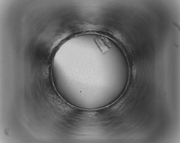 X0000102871309200808251232