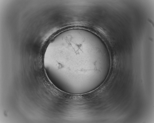 X0000102871310200808251232
