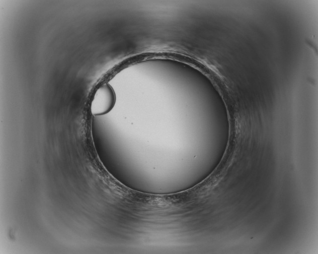 X0000102871311200808251232