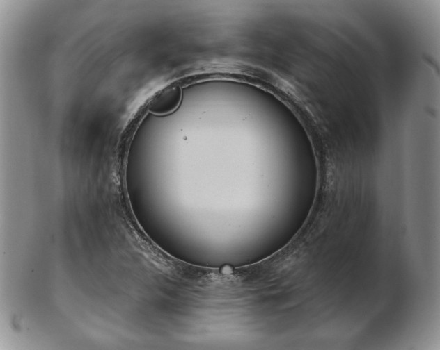 X0000102871312200808251232