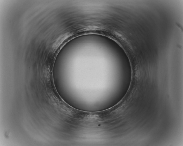 X0000102871313200808251232