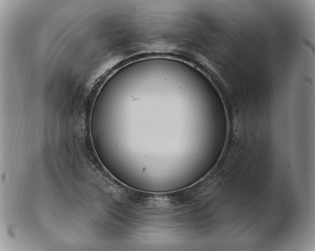 X0000102871315200808251232
