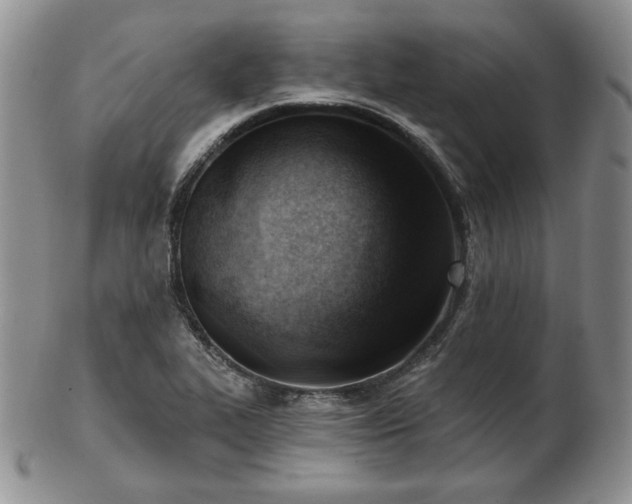 X0000102871319200808251232