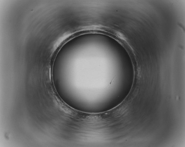 X0000102871320200808251232