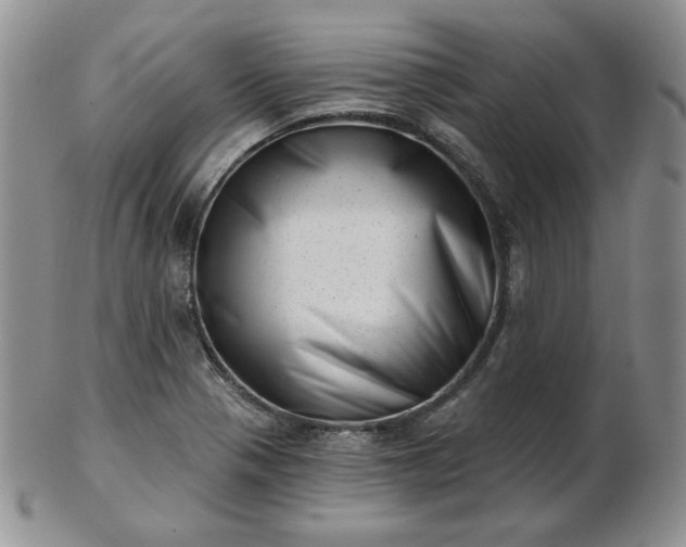 X0000102871321200808251232