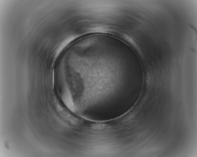 X0000102871323200808251232