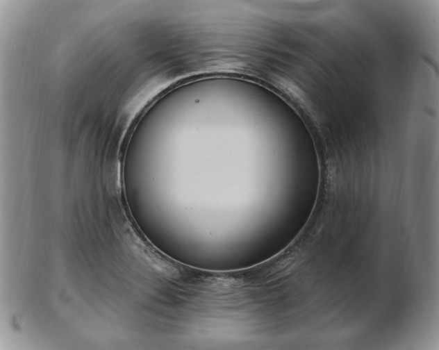 X0000102871324200808251232