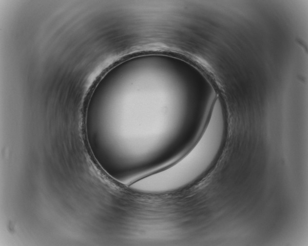 X0000102871326200808251232