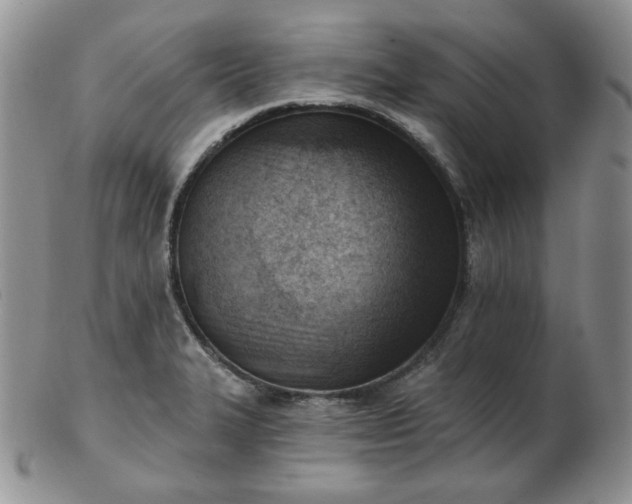 X0000102871327200808251232