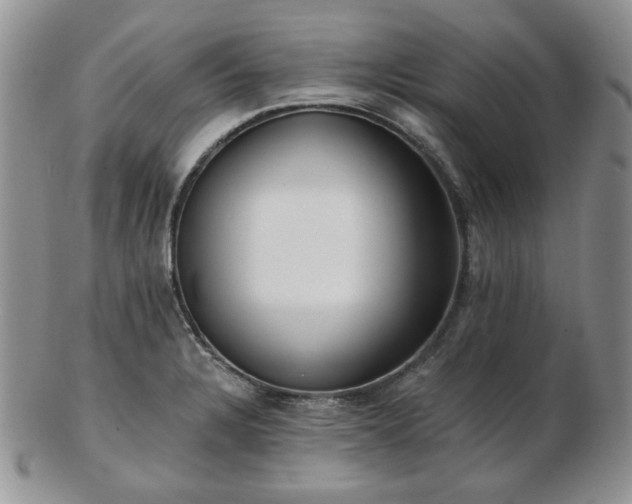 X0000102871328200808251232