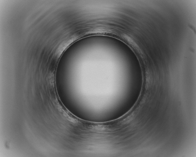 X0000102871329200808251232