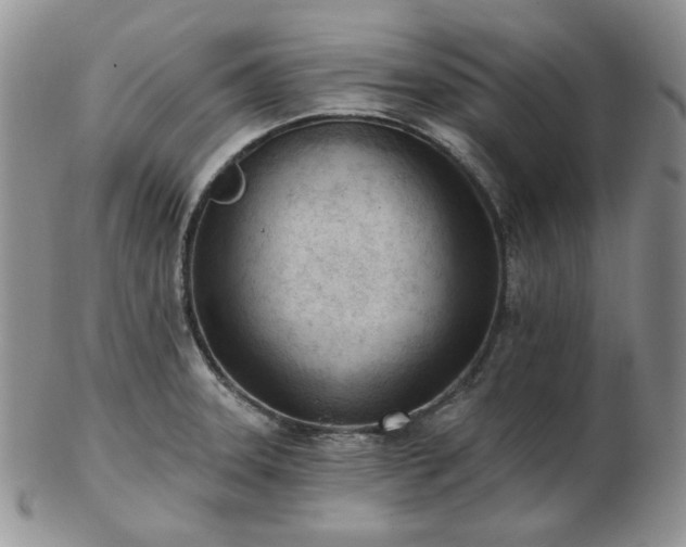 X0000102871331200808251232