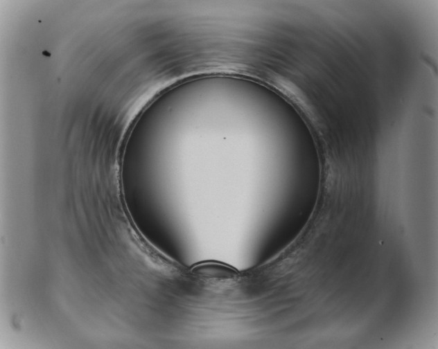 X0000102871332200808251232