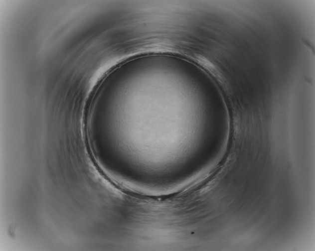 X0000102871334200808251232