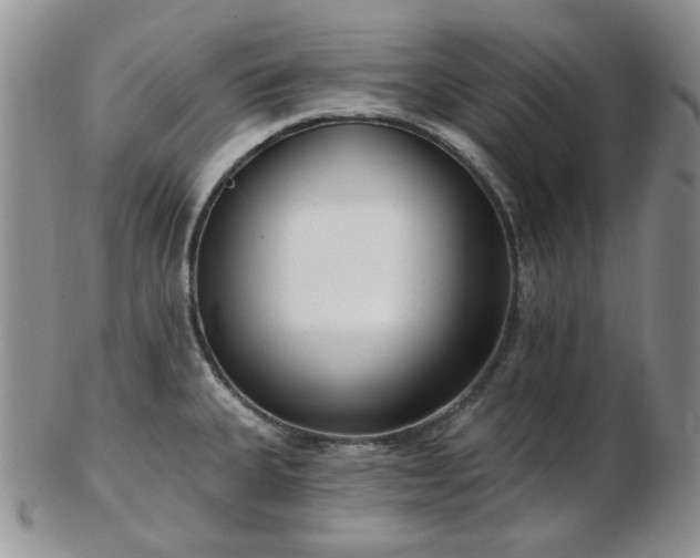 X0000102871335200808251232