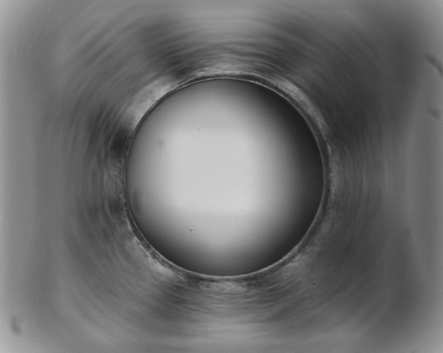 X0000102871337200808251232