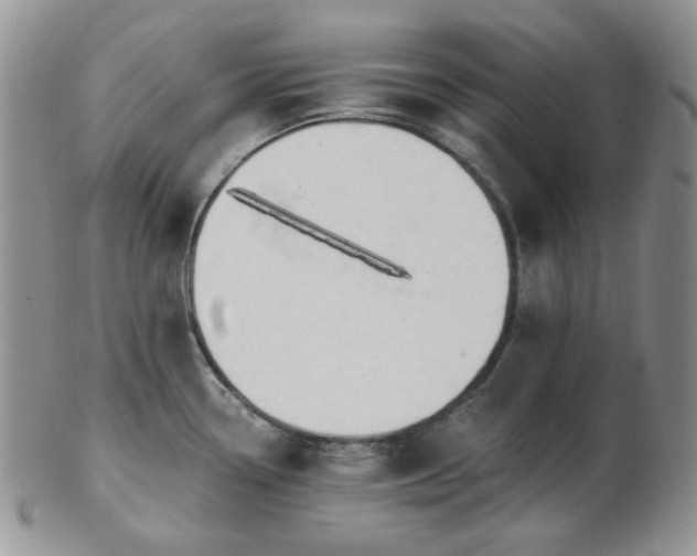 X0000102871338200808251232