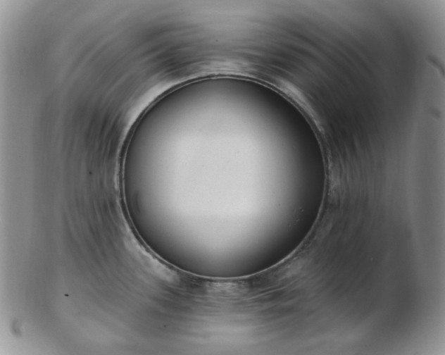 X0000102871339200808251232