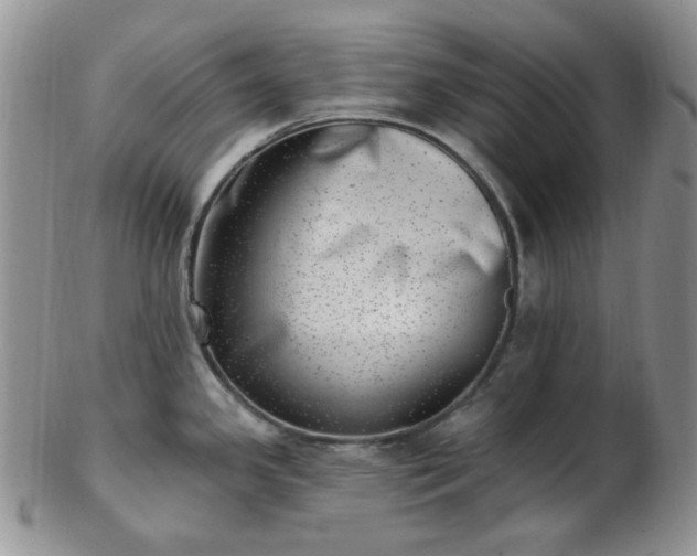X0000102871341200808251232