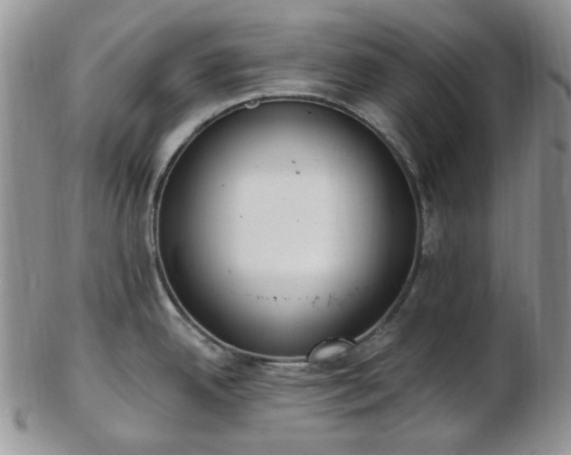 X0000102871342200808251232