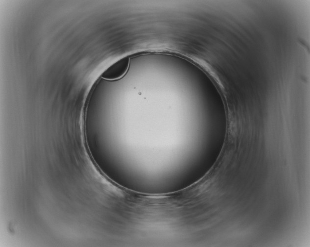 X0000102871343200808251232