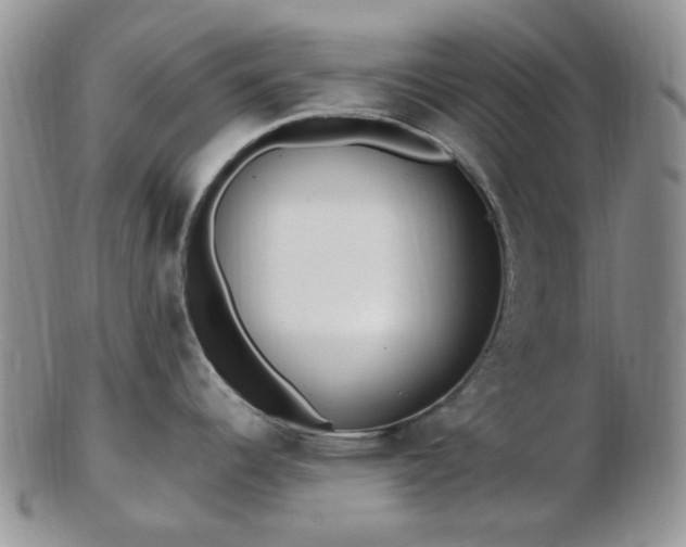 X0000102871344200808251232