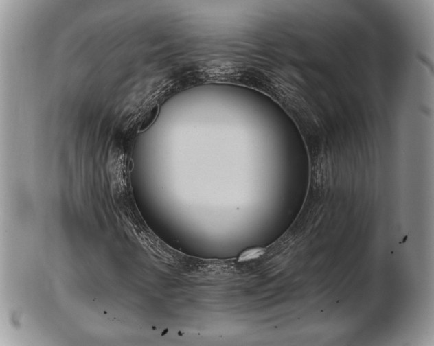 X0000102871346200808251232