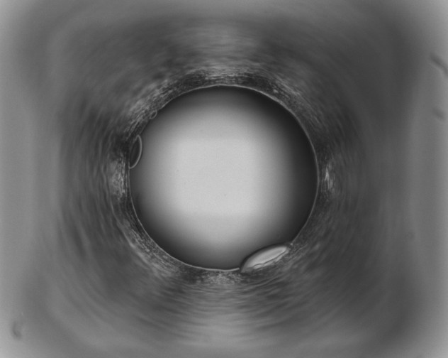 X0000102871348200808251231