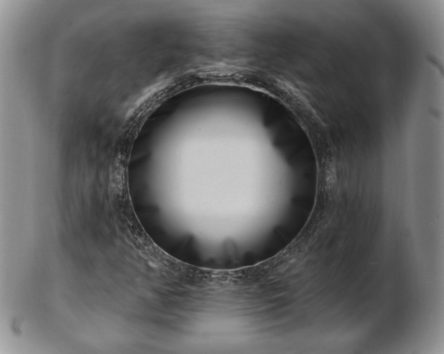 X0000102871350200808251231