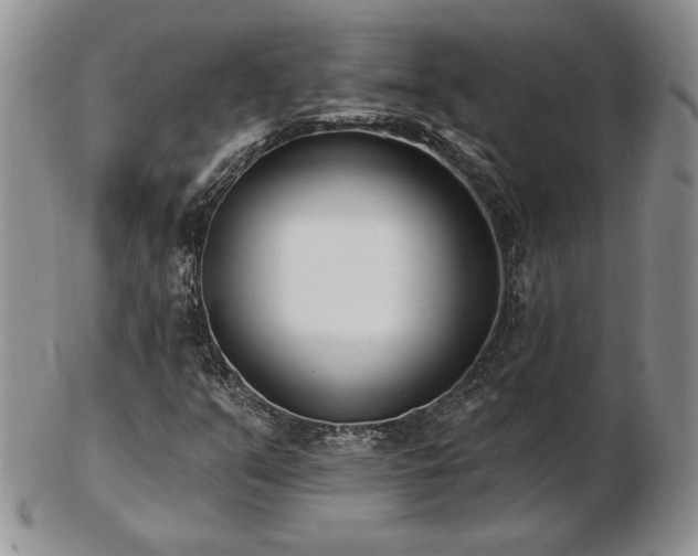 X0000102871351200808251231