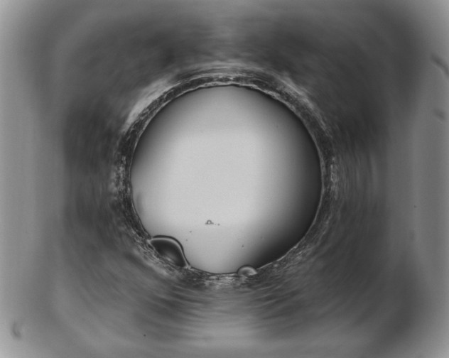 X0000102871352200808251231
