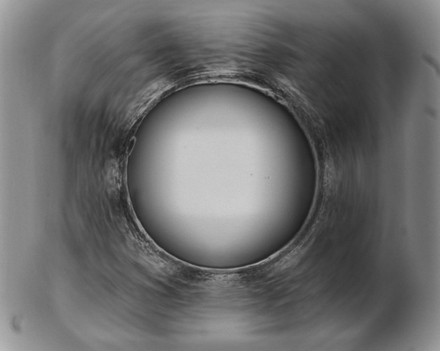 X0000102871353200808251231