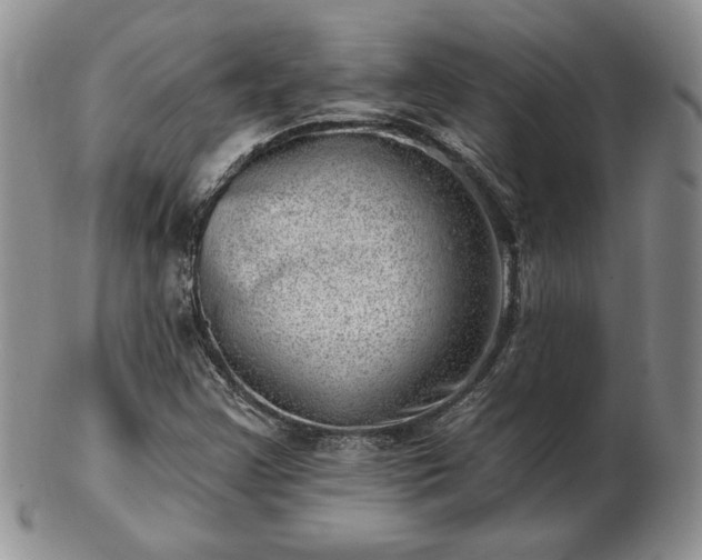 X0000102871355200808251231
