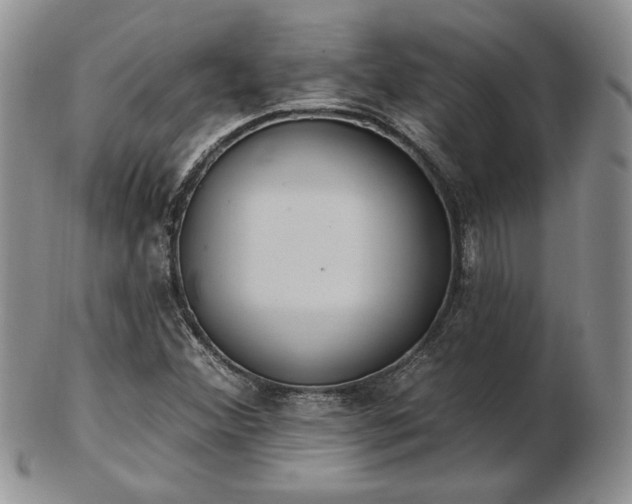 X0000102871356200808251231