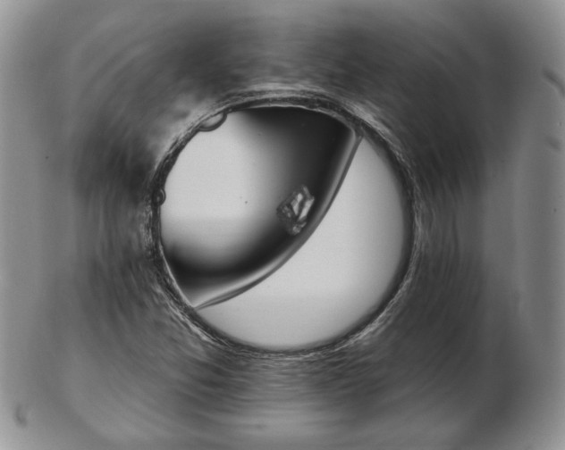 X0000102871357200808251231
