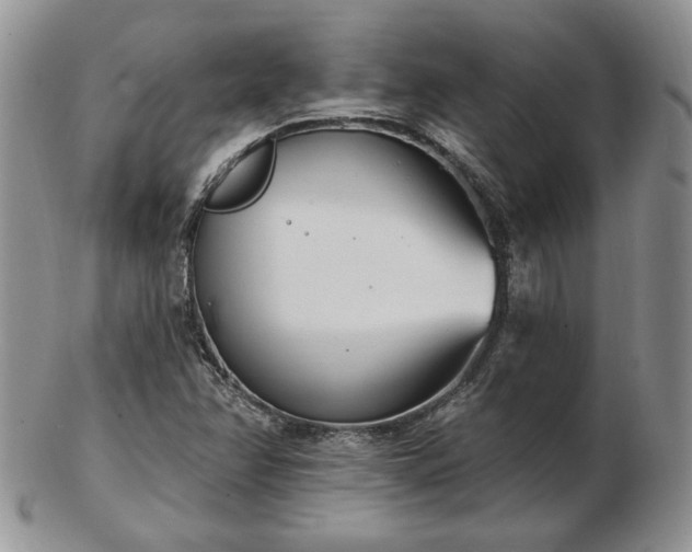 X0000102871358200808251231