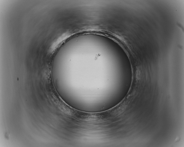 X0000102871359200808251231